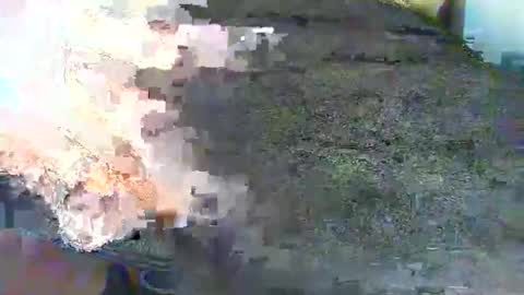 Alex online show from 17, 10, 2025