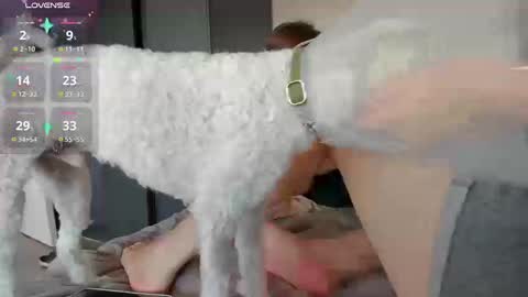 Alexia online show from 20, 11, 2025