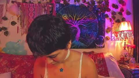 Alex online show from 8, 6, 2026
