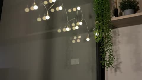 Alex online show from 23, 1, 2025