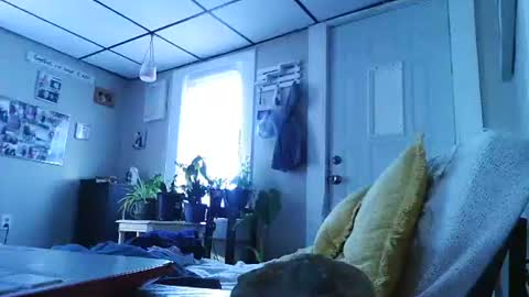 Snapshot of ali_tayler chatting on 8, 11, 2025 ali_tayler online show from 8, 11, 2025