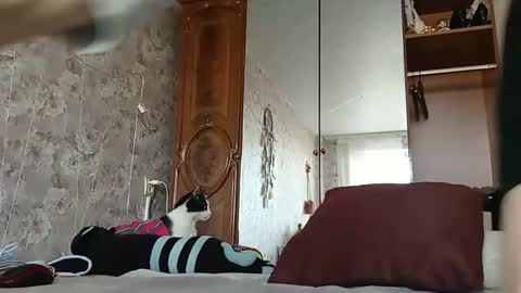 bigclit daddy squirt bigdildo fit online show from 24, 2, 2025