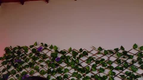 Snapshot of alice_rous21 chatting on 23, 10, 2025 alice_rous21 online show from 23, 10, 2025