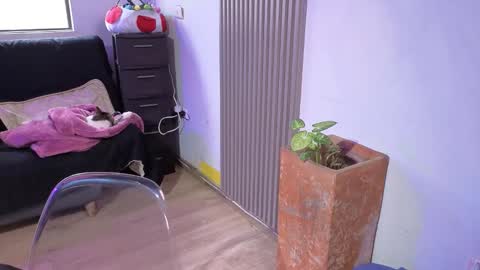 Alice online show from 18, 12, 2025