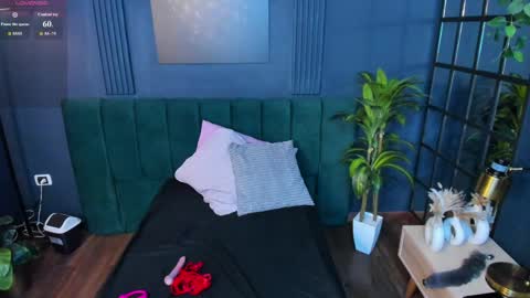 Alice online show from 12, 5, 2026