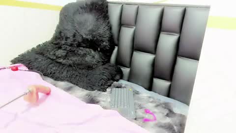 alicee online show from 12, 5, 2026