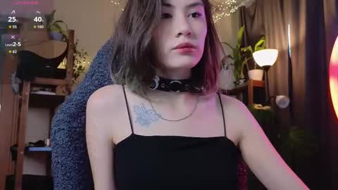 Alice  vacation  online show from 10, 11, 2025