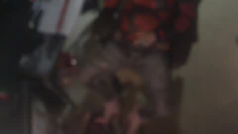 aliceleemcgee online show from 22, 2, 2026