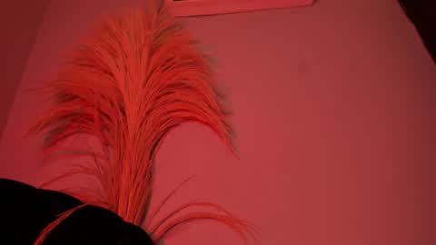 Snapshot of alicepoixxxon chatting on 25, 10, 2025 ALICE online show from 25, 10, 2025