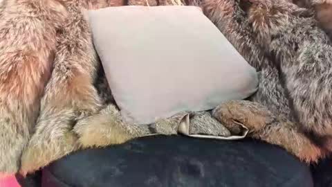 Snapshot of alicepoixxxon chatting on 20, 11, 2025 ALICE online show from 20, 11, 2025