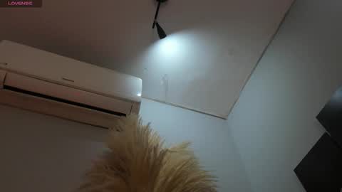 Snapshot of alicepoixxxon chatting on 25, 11, 2025 ALICE online show from 25, 11, 2025