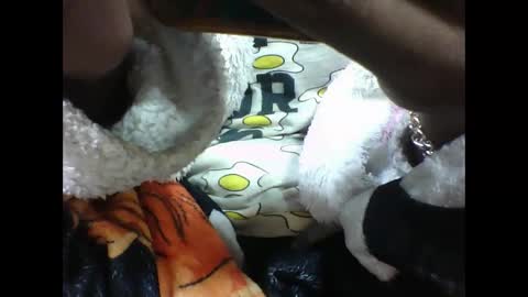 alicia253177 online show from 10, 9, 2025