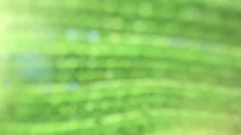 Alicia online show from 23, 10, 2025