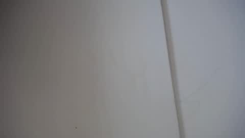 Ali online show from 17, 2, 2025