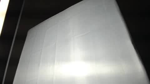 Ali online show from 11, 3, 2025