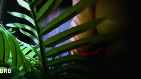 Alicia Lici  online show from 2, 1, 2025