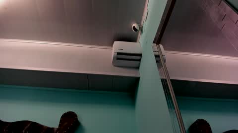 Alice online show from 31, 12, 2024