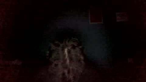 Snapshot of aliprcalica1 chatting on 9, 6, 2026 Chris online show from 9, 6, 2026