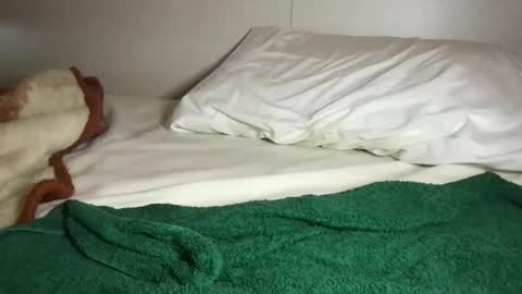 Snapshot of aliroxy28 chatting on 16, 10, 2025 Ali Roxy online show from 16, 10, 2025