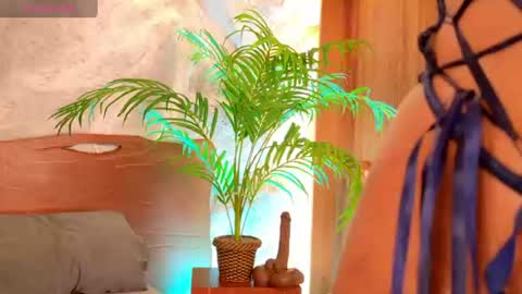 Alison Moon  online show from 24, 6, 2026