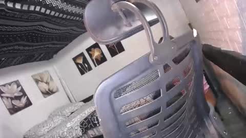 Snapshot of allday_mistress chatting on 16, 12, 2025 trina online show from 16, 12, 2025