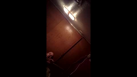 allister666pitfiend online show from 13, 2, 2026