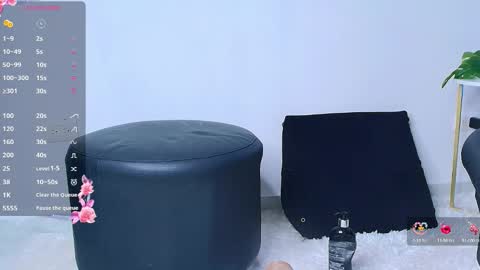 Snapshot of allymdo chatting on 2, 2, 2026 allymdo online show from 2, 2, 2026