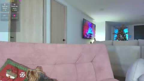 Ally   online show from 7, 11, 2025