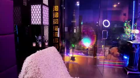 Alma online show from 17, 5, 2026