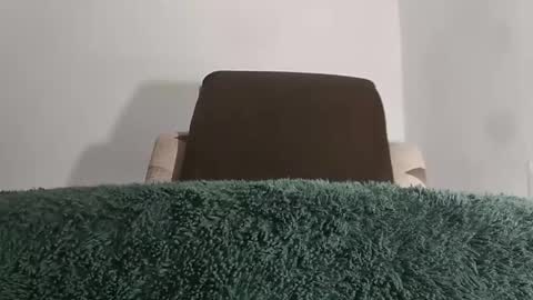 alotofcream4u online show from 8, 11, 2025