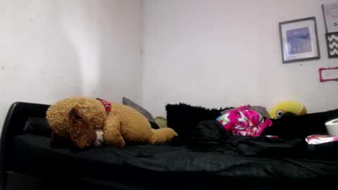 Snapshot of alynfoxx chatting on 24, 6, 2026 Alyn Maria online show from 24, 6, 2026