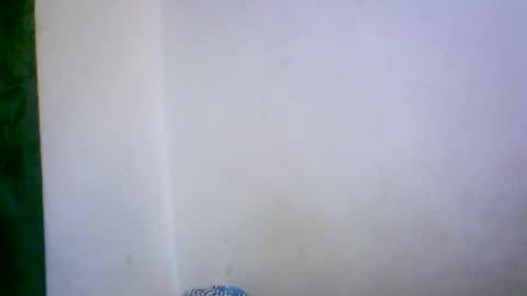 ambar166 online show from 17, 12, 2025