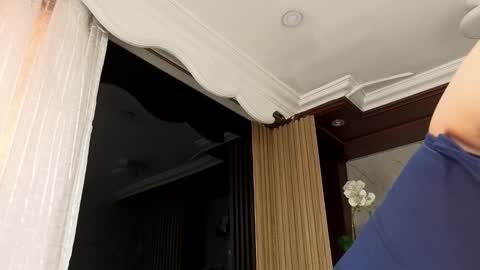   online show from 31, 1, 2026