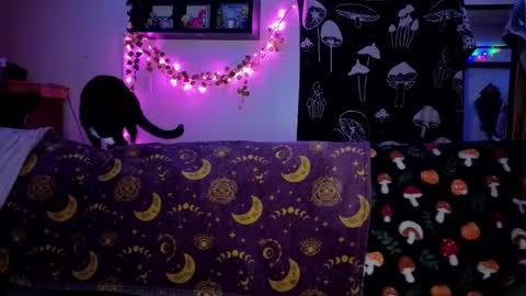 Snapshot of amburlicious chatting on 22, 2, 2026 amburlicious online show from 22, 2, 2026