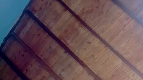 Snapshot of ameli_and_lucas chatting on 2, 10, 2025 Amelia Lucas online show from 2, 10, 2025