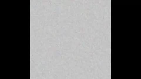 Amelia PVT model online show from 2, 3, 2025