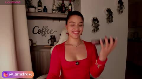 ONLYFANS amel rose22 online show from 17, 9, 2025