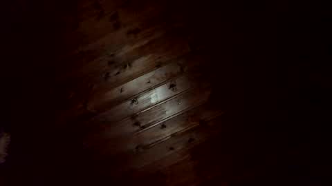 amendolaa536 online show from 25, 11, 2025