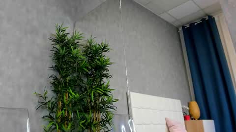 Snapshot of amirarees chatting on 29, 10, 2025 amirarees online show from 29, 10, 2025