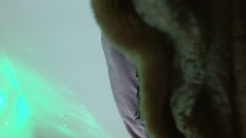 Ambaar online show from 10, 2, 2026