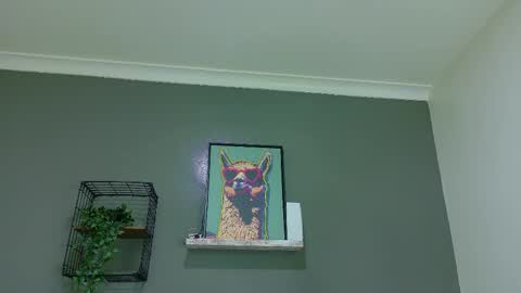 A M M Y  online show from 25, 3, 2026