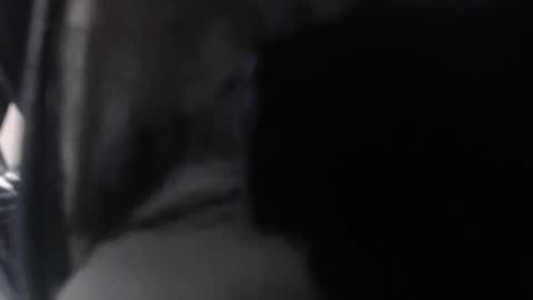 miss unforgettable online show from 24, 3, 2026