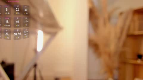     online show from 18, 1, 2025