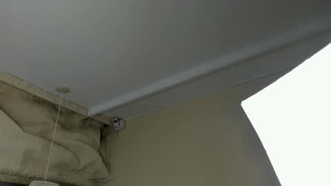 amy online show from 18, 3, 2026