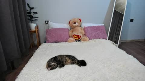 Snapshot of amymilson chatting on 20, 12, 2024 amymilson online show from 20, 12, 2024