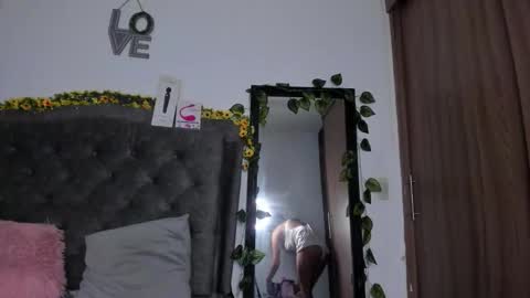 Snapshot of anahirivera chatting on 24, 11, 2025 Anahi Rivera online show from 24, 11, 2025