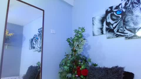 Analia online show from 8, 2, 2025