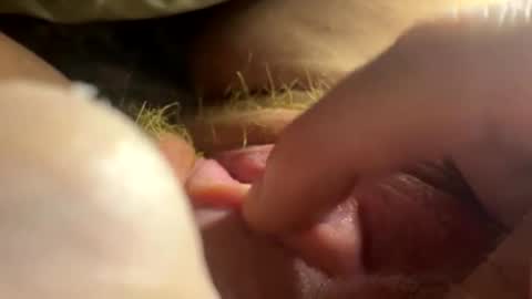 anastasia online show from 26, 2, 2026