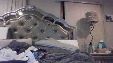 Snapshot of anastasiasteele67 chatting on 25, 6, 2026 anastasiasteele67 online show from 25, 6, 2026