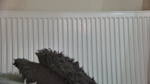 Snapshot of anaworld69 chatting on 5, 1, 2026 of just4ana online show from 5, 1, 2026